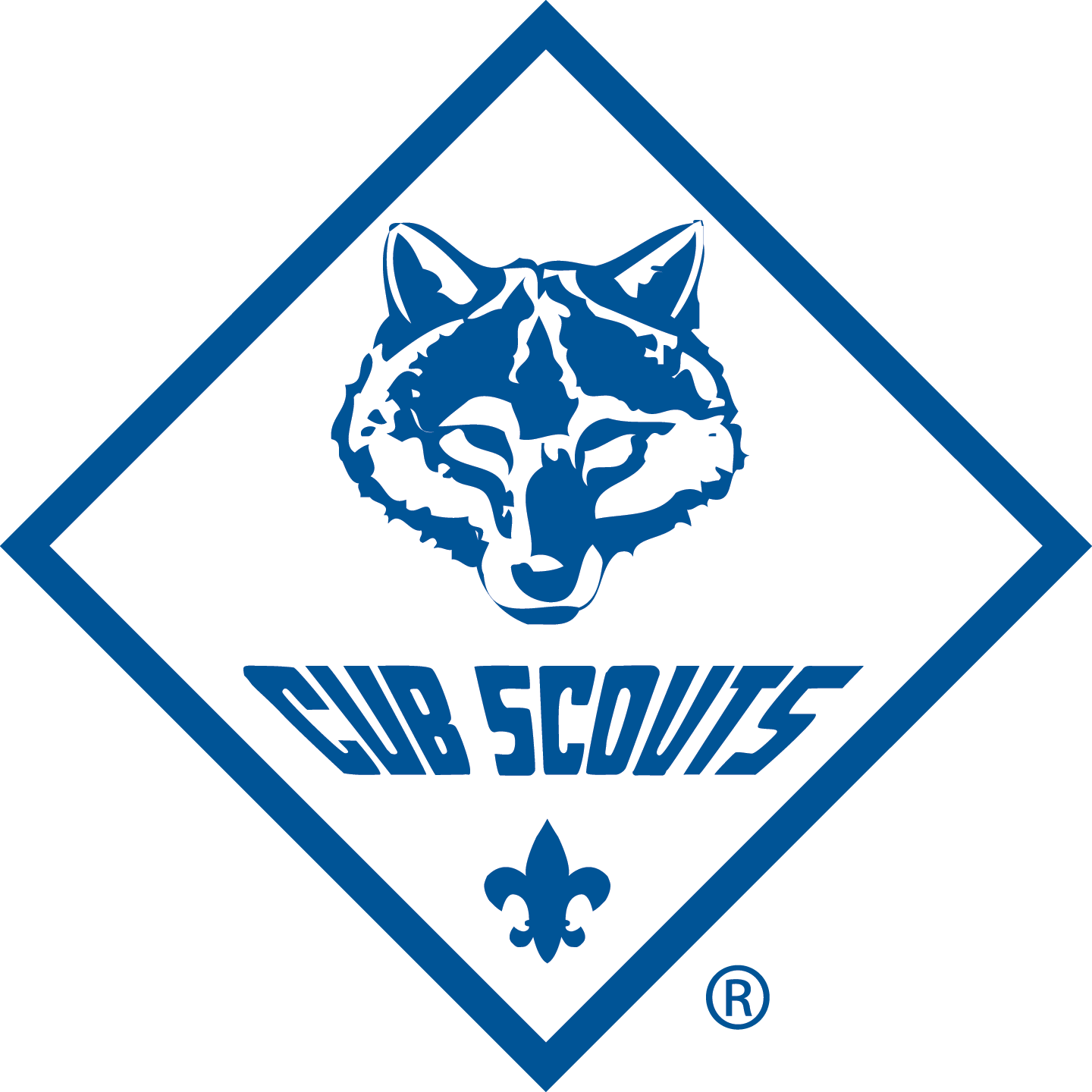 Cub Scouts